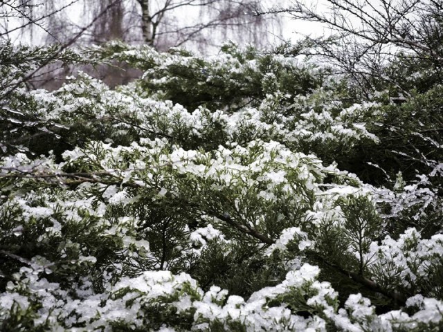 Вслед за воскресным похолоданием в Подмосковье нагрянет «быстрый» снег