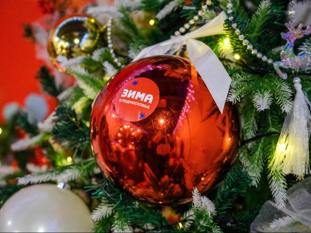 Ночной забег «В закат» и тайная резиденция Деда Мороза: чем удивят парки Балашихи в первую неделю зимы