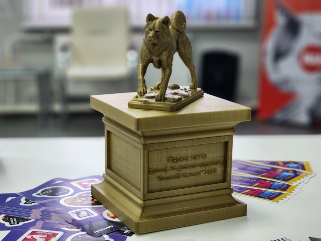 Королевцы сыграли в маджонг, чтобы помочь животным в приюте