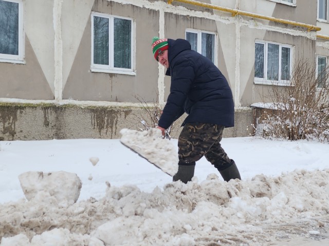 В Волоколамске отмечаются самые высокие сугробы в Подмосковье: под натиском стихии падают деревья
