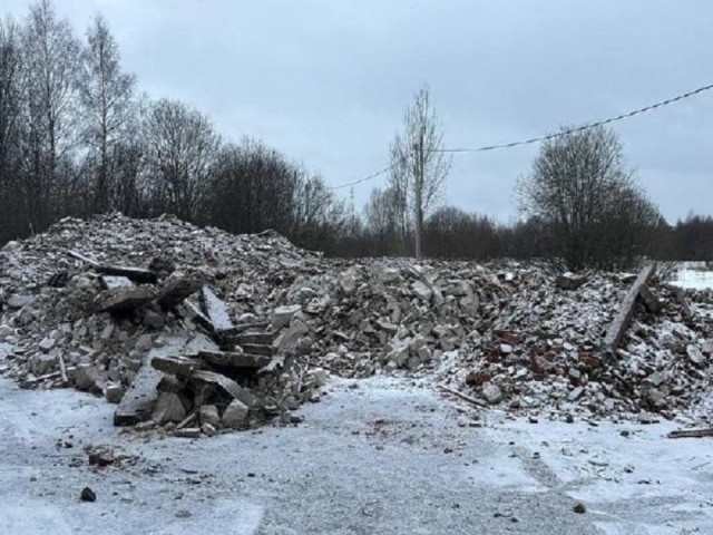 Эксперты против владельца: суд взыскал ₽430 тыс. за ущерб от свалки в Дмитрове