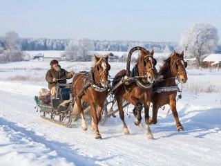 Народный праздник 3 декабря: что можно и нельзя делать в Проклов день