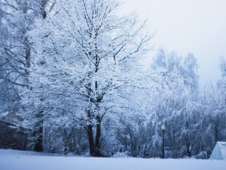 Снегопады и морозы под -20? Жителей Подмосковья в январе ждет жуткий холод!
