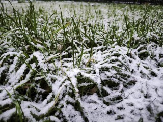 Бьет рекорды: декабрь 2025 в Подмосковье войдет в топ самых малоснежных с начала XXI века