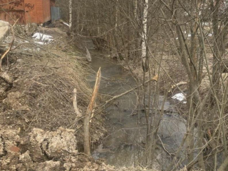 Экологи выявили нарушения на частных землях: ручей и окружающая природа под защитой