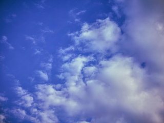 Зима без снега? Вместо сугробов Подмосковье получит солнечные и сухие дни