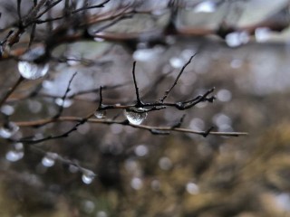 Морозы продержались недолго: в Подмосковье возвращается ноябрьская погода