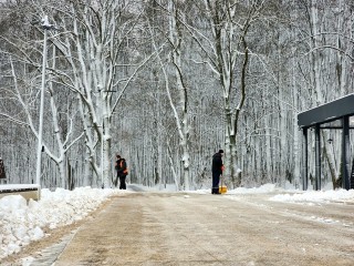 Пущинские коммунальщики быстро устранили последствия первого серьезного снегопада