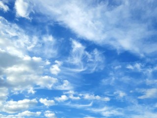 Морозов не будет? Новый прогноз погоды обещает мягкое начало зимы