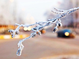 Шаховчан предупредили об опасной погоде из-за гололедицы и холода 27 декабря