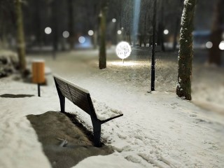 Опять оттепель? Будет ли снег на Новый год, рассказала синоптик Позднякова