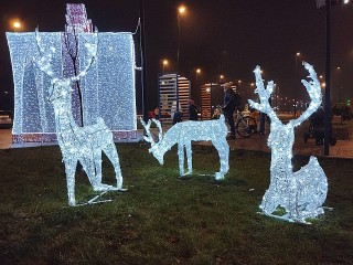 QR-олени и виртуальные гости: как в Ступине используют дополненную реальность для украшения города