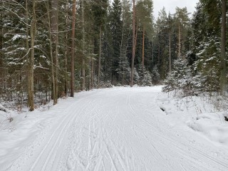 Для новичков и профи: где можно покататься на лыжах в Егорьевске