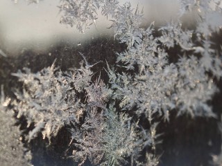 Снимками зимних узоров поделились егорьевские лесничие в соцсетях