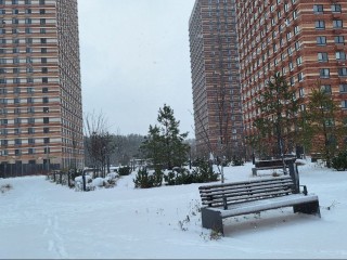 Снег, гололедица и низкое давление: какой будет погода 28 и 29 декабря