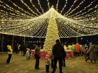 «Праздник чувствуется, несмотря на отсутствие снега»: как в Дубне зажигали новогодние елки