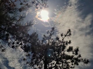 Секрет счастья или вечное одиночество? Что категорически нельзя делать 6 декабря в Митрофанов день