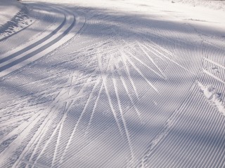 Где покататься на лыжах в Истре: список мест, где готовят трассы этой зимой