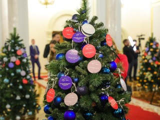 Новогодний визит в гончарную мастерскую: глава Минспорта Дегтярев выполнит мечту школьницы из Ивантеевки