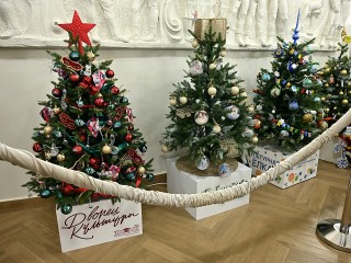 В Ступине выберут самую культурную елку: библиотеки, музеи, дворцы и парки соревнуются в дизайне