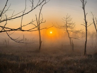 Этот день бывает раз в году! Что делали наши предки 25 декабря, чтобы задобрить Солнце и уберечься от нечисти?