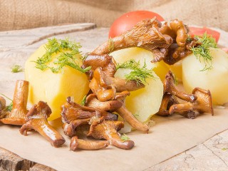 За грибами зимой? Почему тихая охота зимой — не сумасшествие