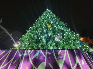 Как Нахабино встретило зиму: зажжение новогодней елки и открытие сезона