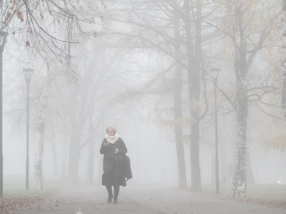 Утренний туман и облачность весь день: прогноз погоды в Подмосковье на 4 декабря