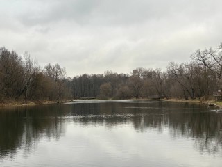 Подозрительная рыба в пруду: почему проверка у птицефабрики привлекла внимание прокуратуры