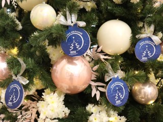 Руководители Ступина исполнили новогоднюю мечту сына участника СВО