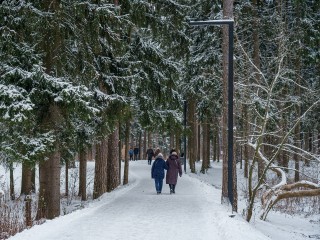 Врач-терапевт назвала шесть правил для укрепления здоровья в зимний период
