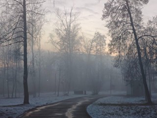 Почему синоптики боятся утра 3 декабря? Подмосковье уйдет в молочную и ледяную мглу