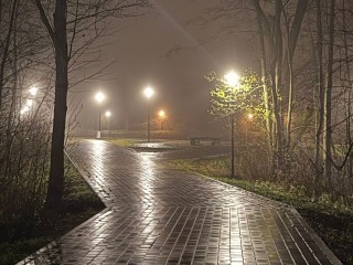 Опасные дороги древних славян: почему 5 декабря на Прокопьев день нельзя поднимать ничего с земли