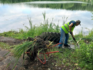 Южный водоем очистят от мусора и водорослей в наступающем году