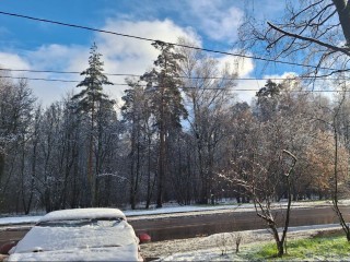 Неделя контрастов: морозы и оттепель нагрянут в Московский регион практически в одно время