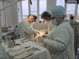 Хирурги Рузской больницы внедряют новые методики лечения грыж