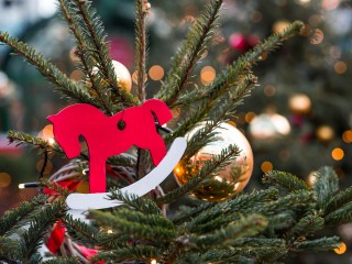 Год Красной Огненной Лошади 2026: символ, кого ждет удача и как правильно встречать