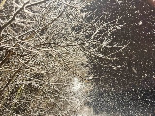 Морозы до −12°C и сугробы до 33 см: стало известно, какой январь ждет Москву и Подмосковье