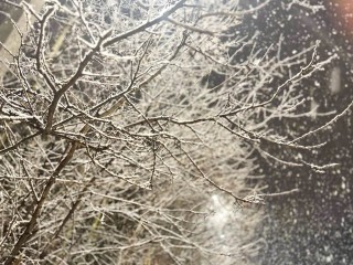 Зима пришла, но ненадолго: в Подмосковье нагрянули морозы до -16°, а к выходным повалит снег