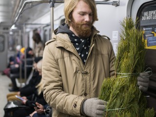 Праздничный багаж: как правильно перевозить в транспорте елки, лыжи и животных