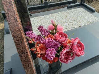 Организовать сбор средств для «расхитителя гробниц» предложили в Краснознаменске