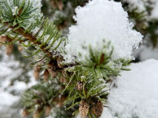 Гороскоп на 6 декабря 2025 для всех знаков Зодиака: Львам, Скорпионам и Стрельцам «улыбнется» фортуна, а Овнам, Ракам и Весам стоит быть осторожнее