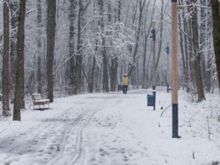 Мороз до -11? Какой будет погода на следующей неделе в Подмосковье