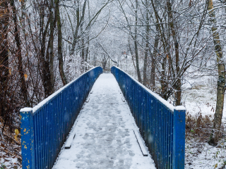 Новый год в Подмосковье будет белым! Синоптики обещают снег и морозы в ночь на 1 января