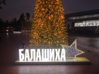 На центральной площади Балашихи установили главную новогоднюю елку
