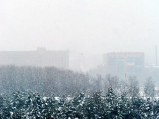 Обложные снегопады, сугробы до 20 см и морозы: идеальную зиму пообещал Тишковец в Подмосковье
