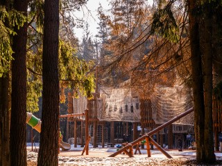 Парящая трасса над лесом: в «Шишкином лесу» запустили уникальный «Роллер.бан»