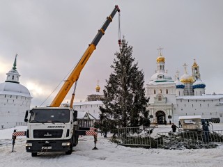 Возрожденная традиция: праздничная ель установлена у стен Троице-Сергиевой лавры
