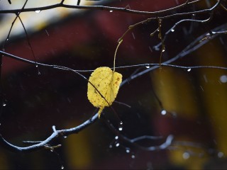 Какая погода ожидается в Лыткарине в выходные 20 и 21 декабря