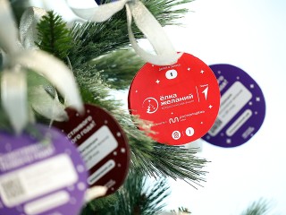 Увидеть закулисье цирка и получить робота: «Елка желаний» радует детей в Подмосковье